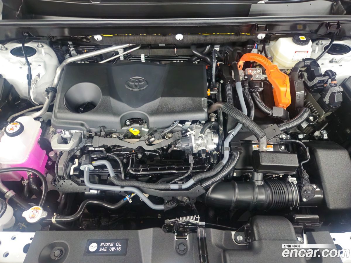 Toyota RAV4 Mk5
