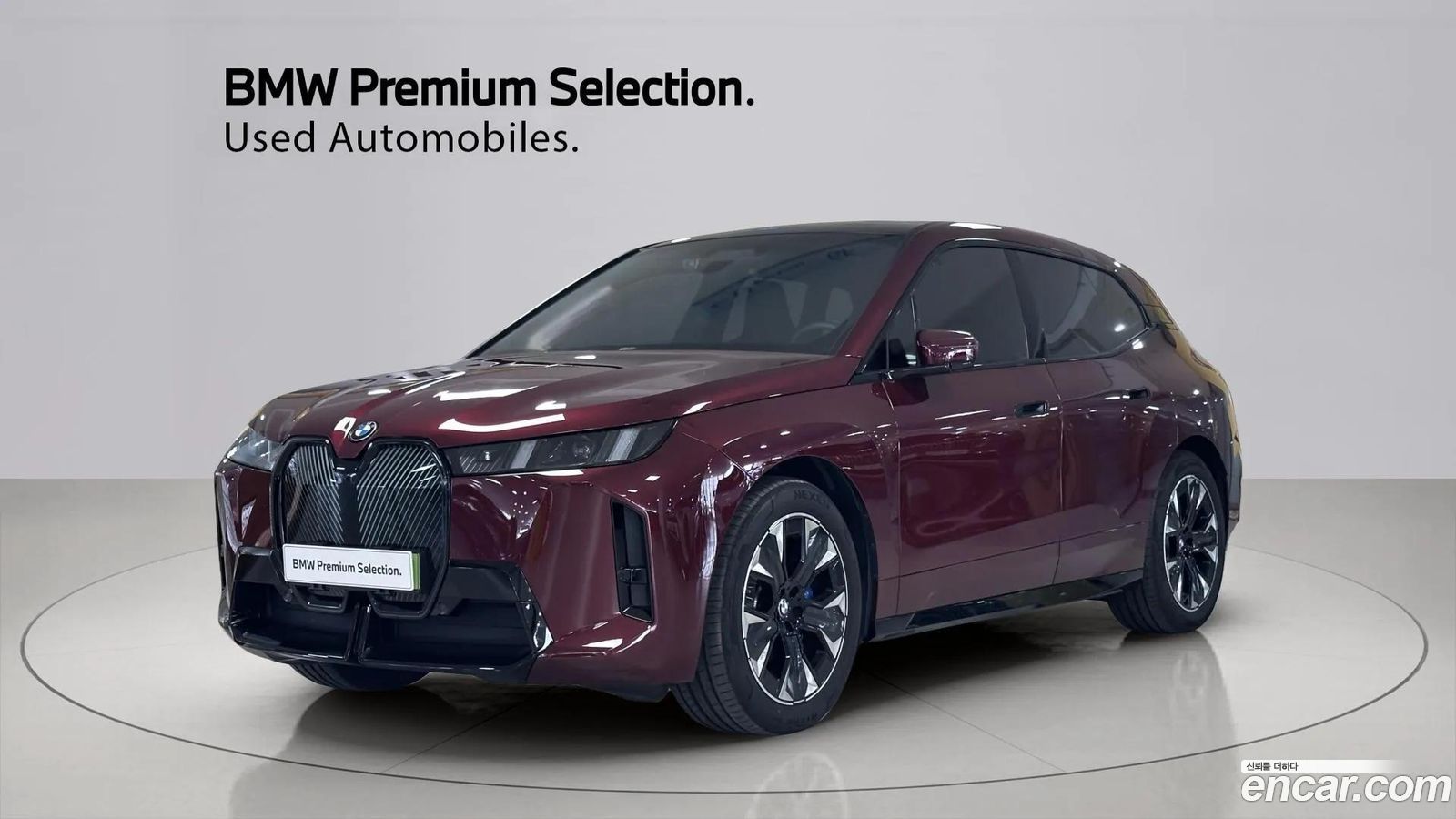 BMW iX