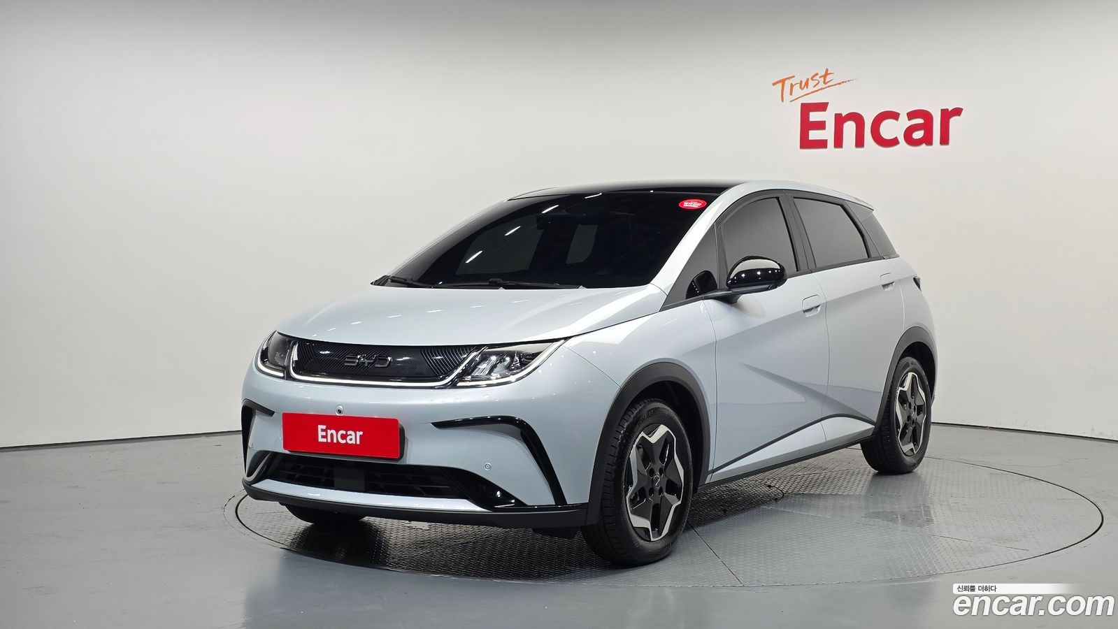 BYD Dolphin