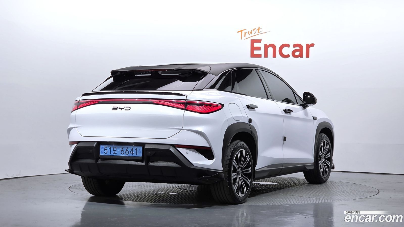 BYD 씨라이언 7