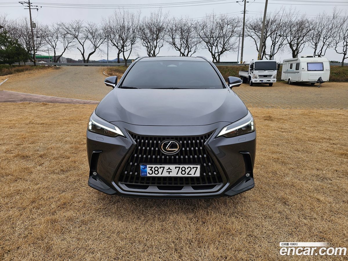 Lexus NX Mk2