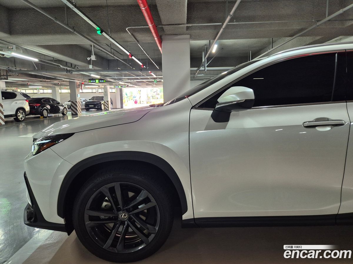 Lexus NX Mk2