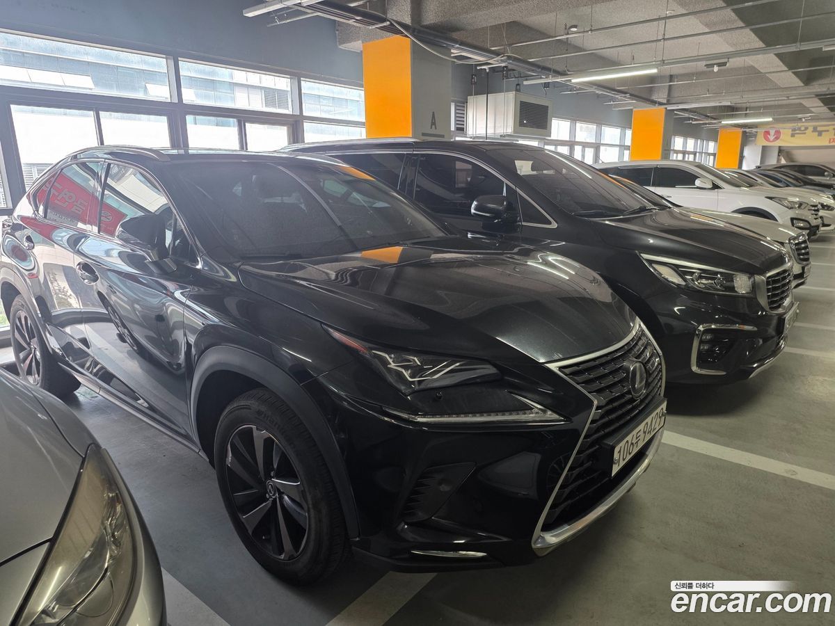 Lexus NX