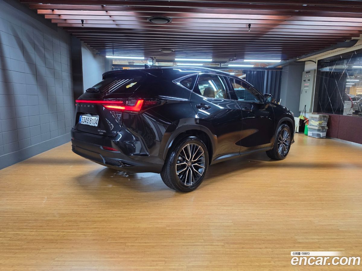 Lexus NX Mk2
