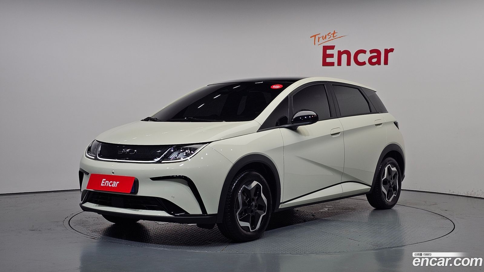 BYD Dolphin