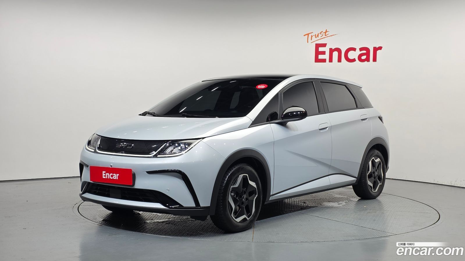 BYD Dolphin