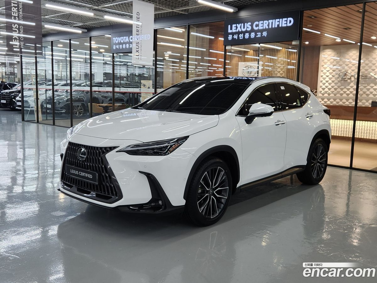 Lexus NX Mk2